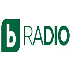 Logo bTV Radio