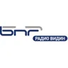 Радио Видин