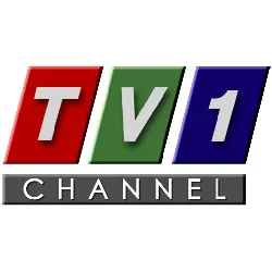 Logo Радио ТВ1