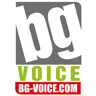 Radio BG Voice Хит Микс