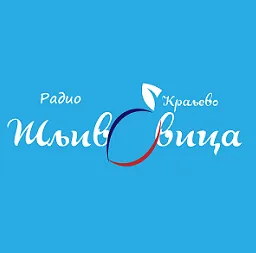 Logo Радио Сливовица